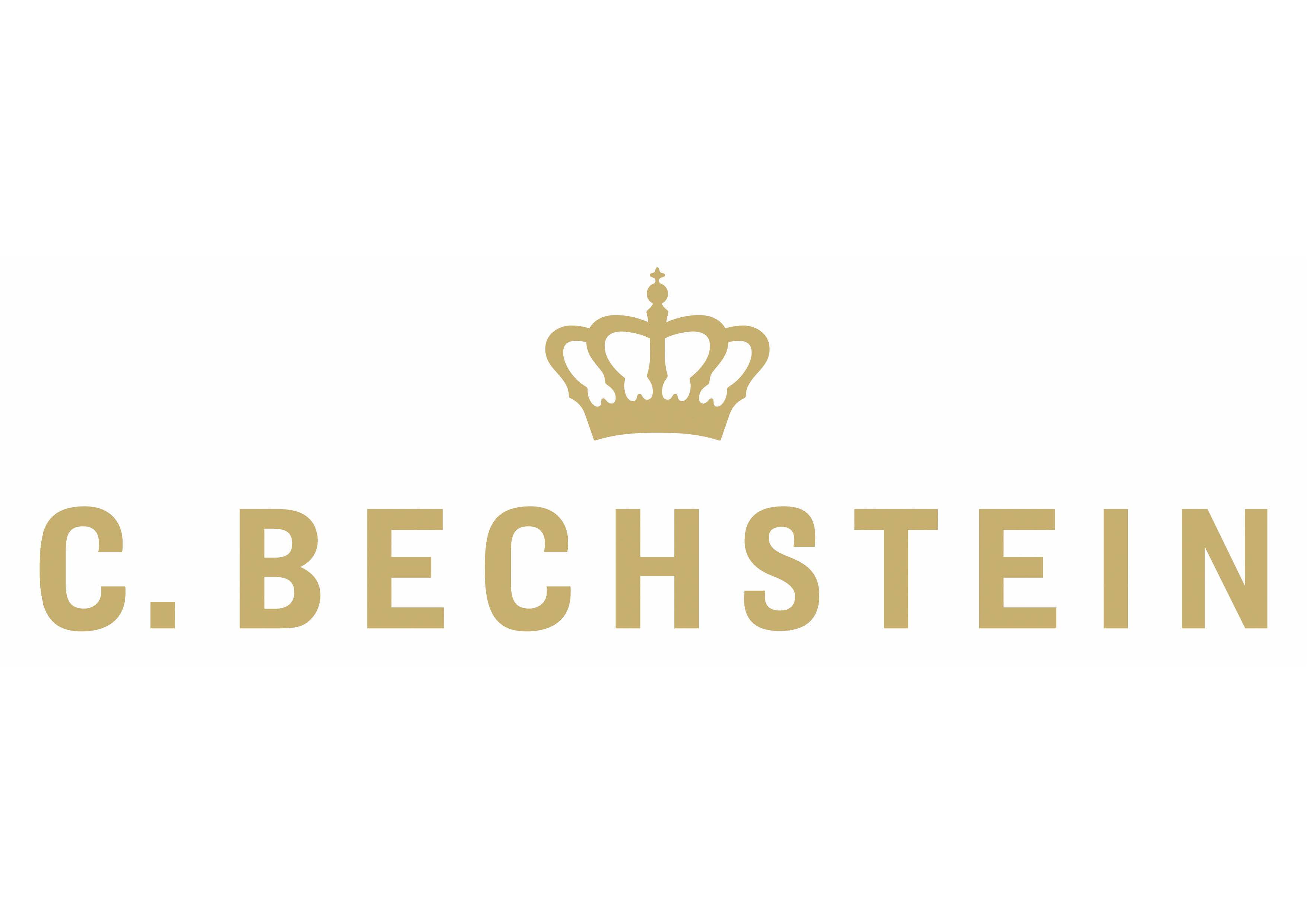 C. Bechstein Europe s.r.o